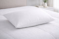 Signature Pillow Filler